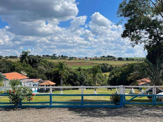 #45 - Haras para Venda em Cosmópolis - SP